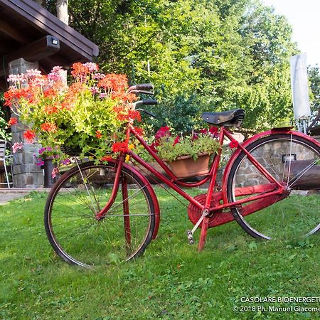 Il Casolare Bioenergetico Bed & Breakfast Albareto  Exterior photo