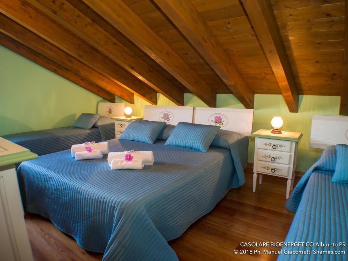 Il Casolare Bioenergetico Bed & Breakfast Albareto  Exterior photo