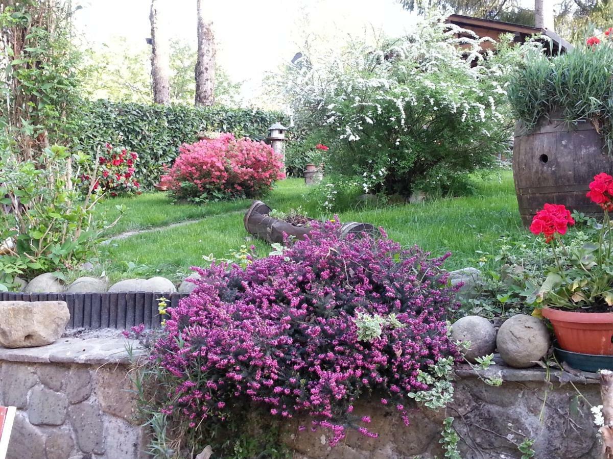 Il Casolare Bioenergetico Bed & Breakfast Albareto  Exterior photo