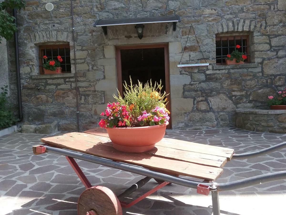Il Casolare Bioenergetico Bed & Breakfast Albareto  Exterior photo